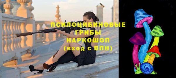винт Алзамай