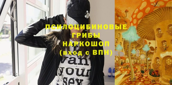 mdpv Новодвинск