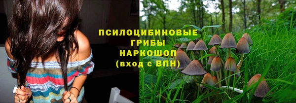 винт Алзамай